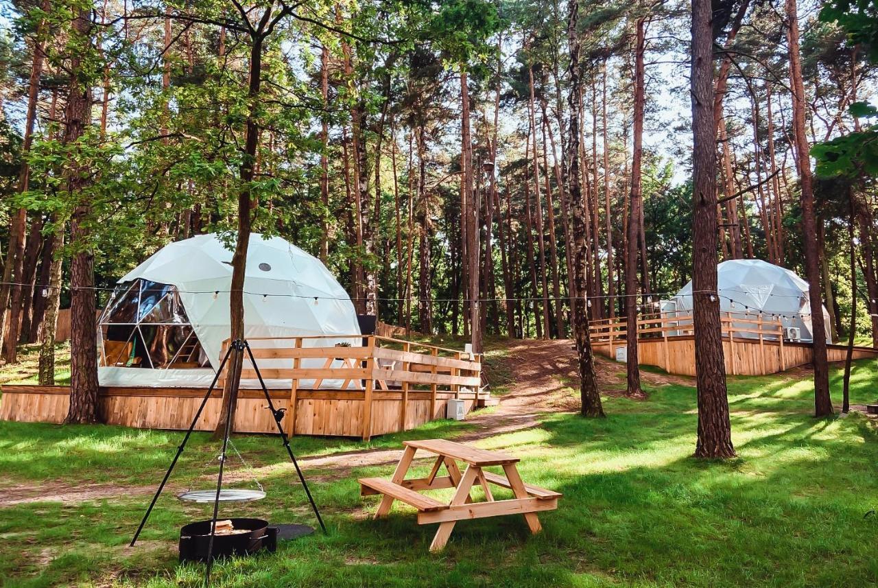 ОТЕЛЬ PLANETA GLAMPING ZALESIE GORNE (Польша) - от 12991 RUB | NOCHI